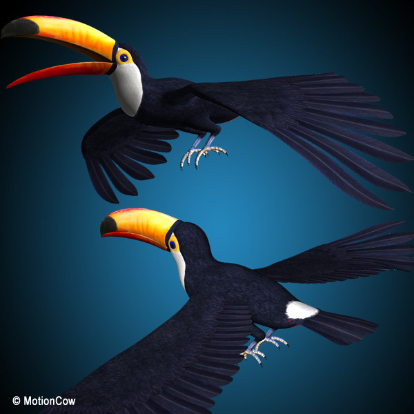 max flying toucan - Toucan A  ( Flying ) by MotionCow